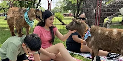 Goat Yoga McKinney The Stix!