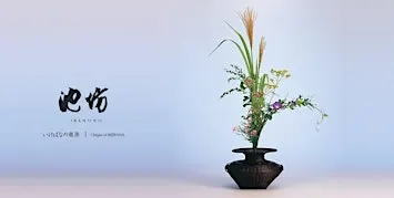 Invitation to Ikenobo Ikebana - Continuing Classes in Boulder CO (Dec 17)
