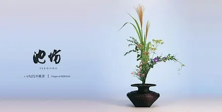 Invitation to Ikenobo Ikebana - Continuing Classes in Boulder CO (Dec 17)