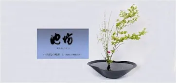 Invitation to Ikenobo Ikebana - Continuing Classes in Boulder CO (Nov  5)