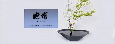 Invitation to Ikenobo Ikebana - Continuing Classes in Boulder CO (Nov 5)