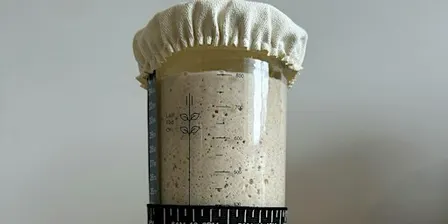 Sourdough Starter & Fermentation Fundamentals – Community Masterclass