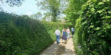 West Cornwall walking with Edward Chapman at Tehidy Woods.