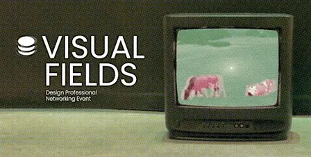 Visual Fields Basel · Design Networking Event
