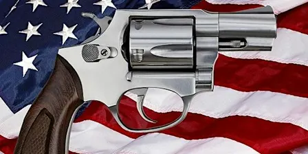 Basic Firearms Ownership