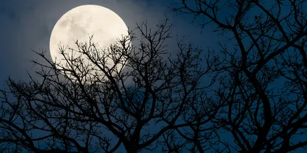 Full Harvest Moon Hike