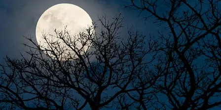 Full Harvest Moon Hike