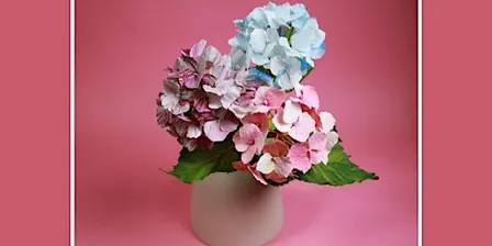 Paper Flowers Floristry Workshop - Hydrangea