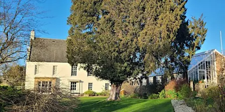 Autumn Forest Bathing Walk in Inveresk Gardens