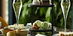 PCP - Festive Winter Walk & Afternoon Tea