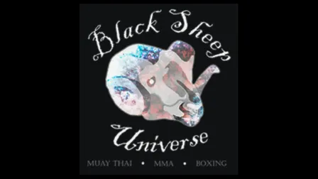 Curious About Combat Sports?