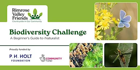 Community Wildlife Recording - Conservation Special!