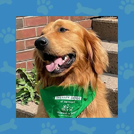 Read to Chewie the Therapy Dog