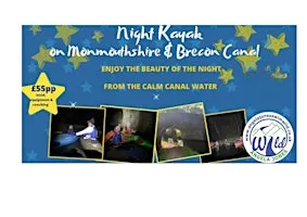 Night Kayak Under the Stars