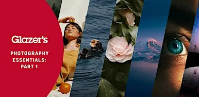 Los Básicos de Fotografía Parte 1 en Español