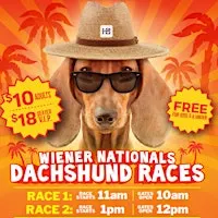 Old World Wiener Nationals "Princess Theresa Trot" Race