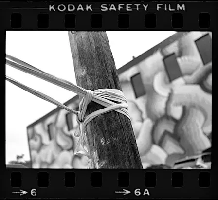 Film Photography 101