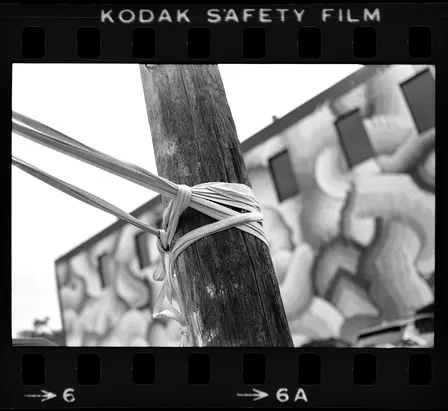 Film  Photography 101