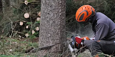 Emergency First Aid 1 day course including Forestry First Aid +F (RQF)