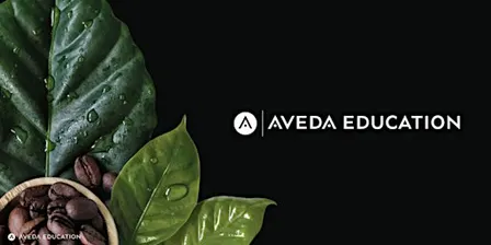 Aveda Atlantic - Next Level Salon Service