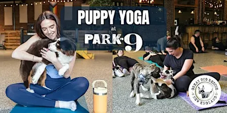 Park-9 Puppy Yoga with Great Dog Rescue New England