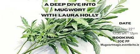 Mugwort Magic: A Deep Dive into the powers of Mugwort
