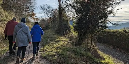 Guided Woodland Walk
