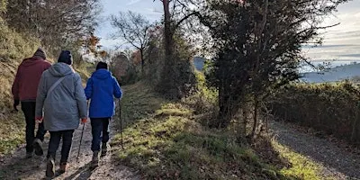 Guided Woodland Walk