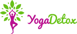 Yoga for Beginners