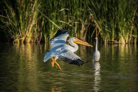 Master Your Camera Controls - Photography Workshop