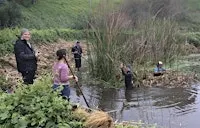 Water Gardening & Alemany Pond Restoration Day