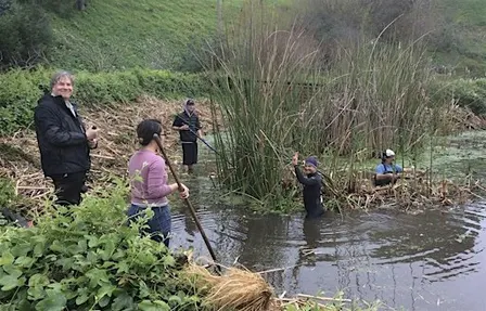 Water Gardening & Alemany Pond Restoration Day