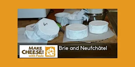 Brie and Neufchâtel