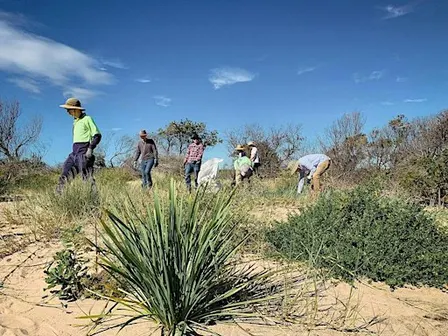 Clean-up at Puckeys Nature Reserve