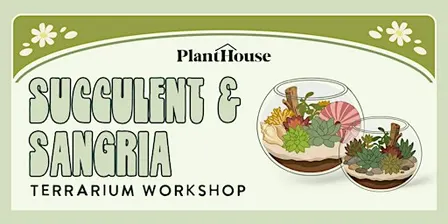 Succulent & Sangria Workshop