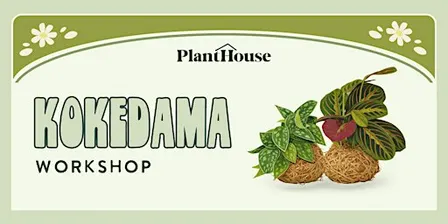 Kokedama Workshop