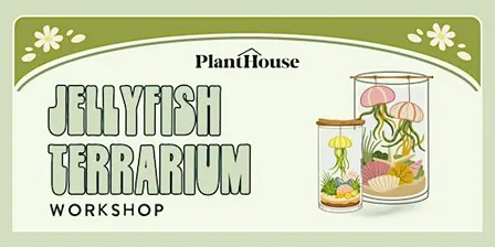 Jellyfish Terrarium Workshop