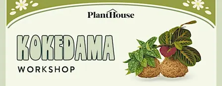 Kokedama Workshop