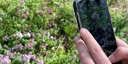 Smartphone Safari: How to take amazing nature photography with your phone