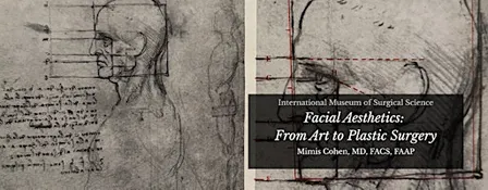 Facial Aesthetics: from Art to Plastic Surgery Part 2