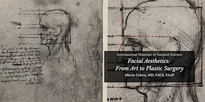 Facial Aesthetics: from Art to Plastic Surgery Part 2