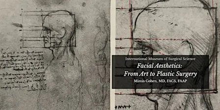 Facial Aesthetics: from Art to Plastic Surgery Part 2