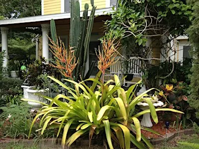 Friends of the Seminole Heights Library Garden Tour