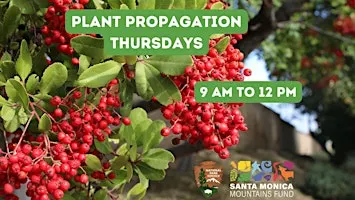 Thursday Plant Propagation: Native Plant Nursery Volunteering