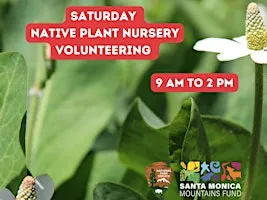FREE PLANT SATURDAYS! - Native Plant Nursery Volunteering