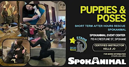 November Puppies & Poses