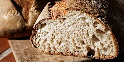 Sourdough Bread Workshop