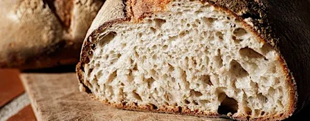 Sourdough Bread Workshop
