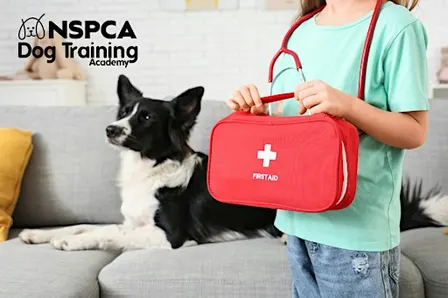 Pet First Aid - NSPCA Adult Education (In Person @ NSPCA Dublin)