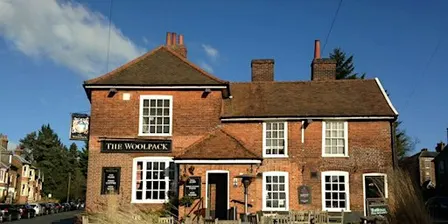 Hedgehog home building at The Woolpack (ECC 2511)